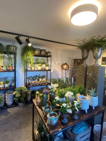 Blumenpracht in Bättig's Blumenwelt